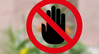 Eskişehirliler sadece bakın, dokunmayın: Cezası 244 bin TL!