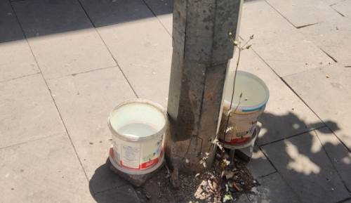 Eskişehirliler sokak hayvanlarını unutmuyor