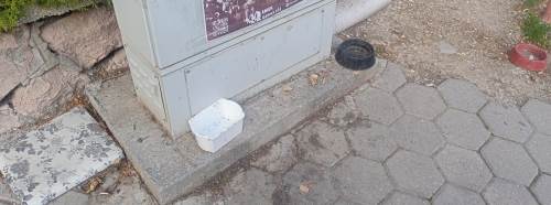 Eskişehirlilerden sokak hayvanlarına anlamlı destek