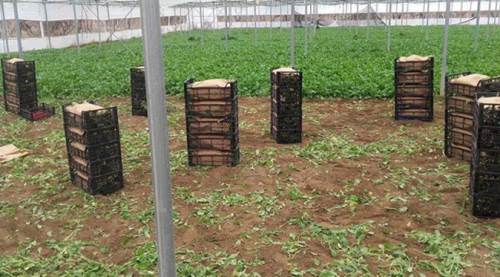 Eskişehirlilere 250 bin TL hibe müjdesi 