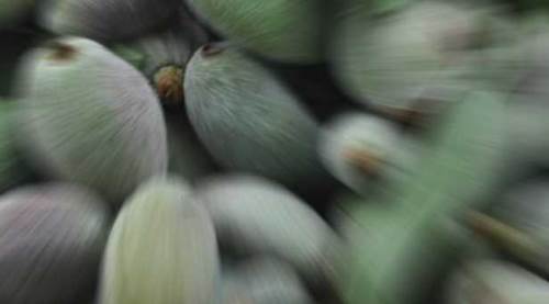 Eskişehirlilere yeni şok: Kilosu dudak uçuklattı!