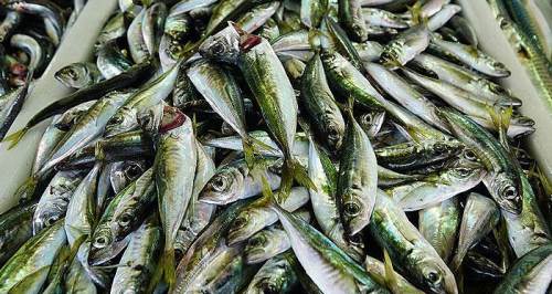 Eskişehirlileri mutlu edecek fiyat tezgaha geldi!