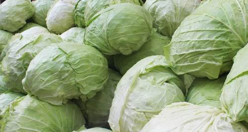 Eskişehirlilerin favori kış sebzesi tezgahlarda