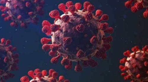 Eskişehirspor'da yine koronavirüs firesi!