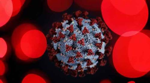 Eskişehirspor'da yine koronavirüs şoku! Testleri pozitif çıktı...