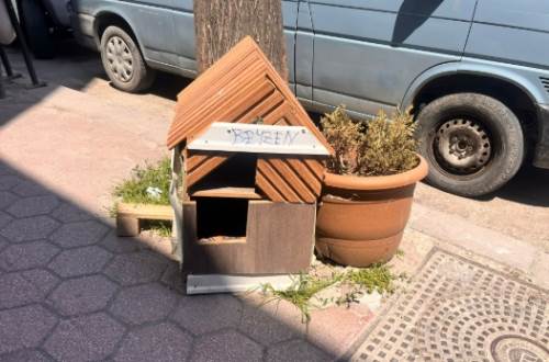 Esnaftan sokak hayvanlarına sıcacık jest