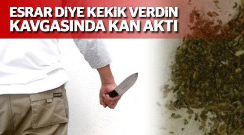 Esrar yerine kekik kavgasında kan aktı