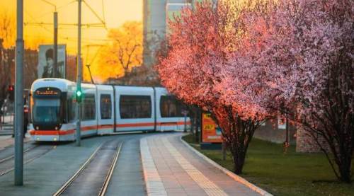 ESTRAM'dan 1 Mart günü için ulaşımda özel düzenleme