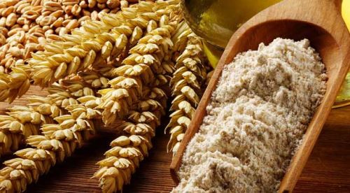 ETİ 10 bin yıllık buğdaya sahip çıktı!