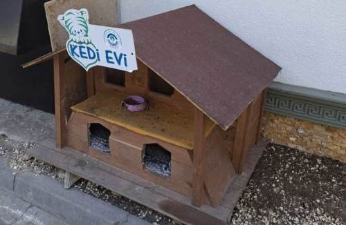 Eti Arkeoloji Müzesi'ndeki kedi evi sokak hayvanlarına yuva oluyor