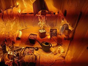 Ev Değil Sanki Uyuşturucu İmalathanesi
