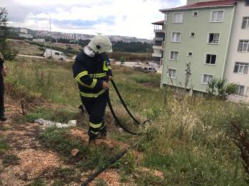 Ev Yangını İhbarı Aldılar, Ufak Çaplı Ot Yangını Çıktı
