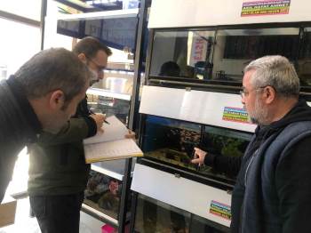 Evcil Hayvan Dükkanlarına Yönelik Denetim
