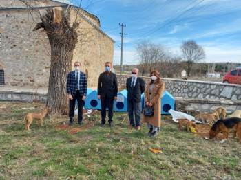 Evcil Hayvanlara Kulübe Ve Mama Desteği
