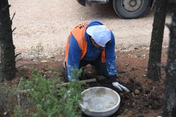 Evcil Ve Yaban Hayvanları İçin Su Kapları Konuldu
