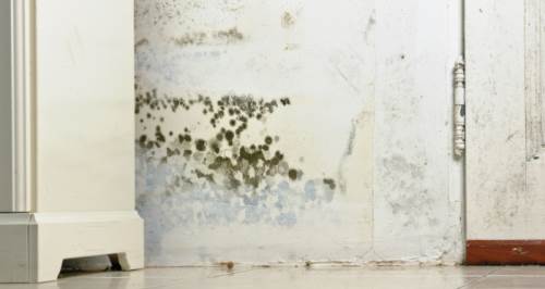 Evdeki rutubet nasıl geçer? Rutubet kokusunu ne giderir?