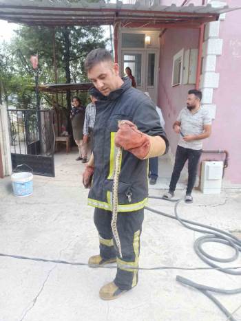Eve Giren Yılanı İtfaiye Ekipleri Yakaladı
