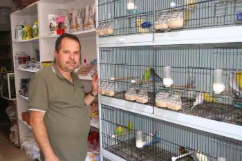 Evinde Muhabbet Kuşu Besleyenler Dikkat
