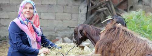 Evinin bahçesinde iş kurdu, şimdi siparişlere yetişemiyor!