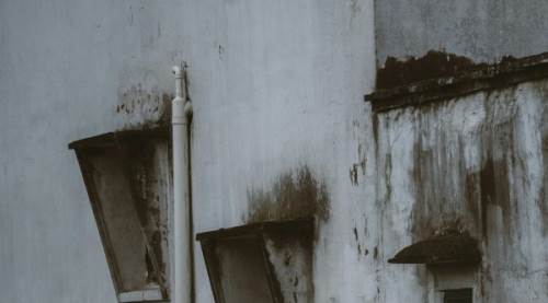 Evinizde Küf Olduğunu Nasıl Anlarsınız? Kapsamlı Rehber