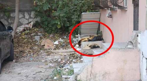 Evsiz adam, yatak bazası içinde ölü bulundu