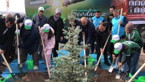 Eyüp Dereli Hatıra Ormanı: 15 bin fidanla şehidin adı yaşatılacak