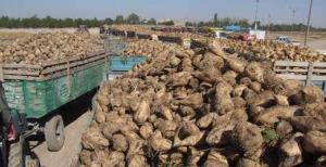 Fabrikadan pancar avans ödemesi