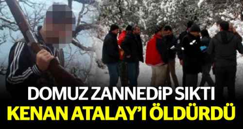 Facia! Domuz sandı öldürdü