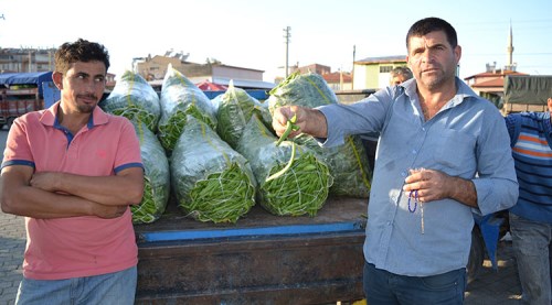 Fasulye üreticisinin yüzü güldü