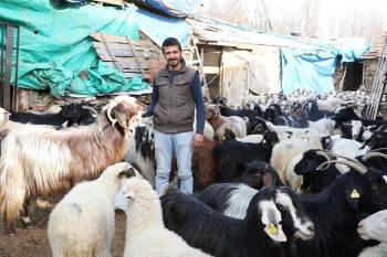 Feci Olaydan Sonra Hayatı Normale Döndü
