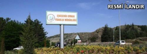 Fidan Bakım Çalışmaları(Yaz 2023) hizmet alımı