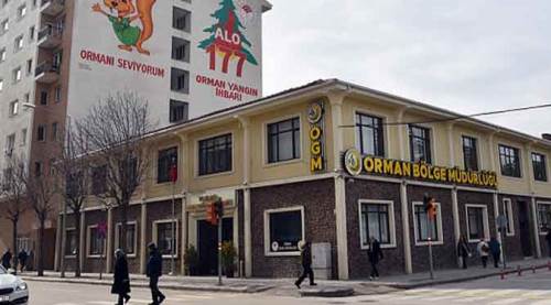  Fidan bakım hizmeti alınacak