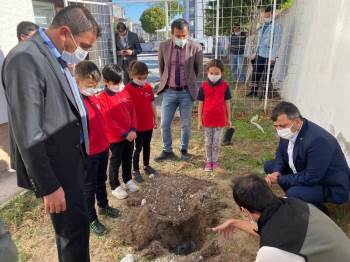 Fidan Dikerek Hatay’Daki Orman Yangınına Dikkat Çektiler
