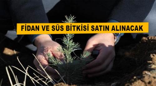 Fidan ve süs bitkisi satın alınacak