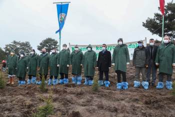 Fidanlar Toprakla Buluştu
