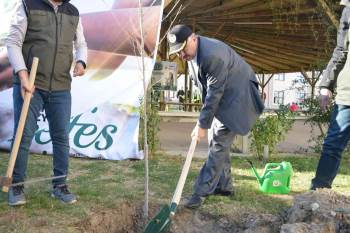 Fidanlar Toprakla Buluştu
