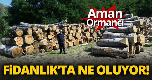 Fidanlık’ta ne oluyor?