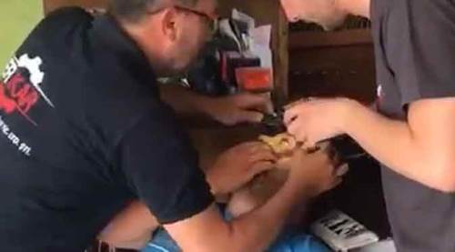 Fıkra gibi olay: Hastane hastane dolaştı, şifayı tornacıda buldu!