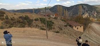 Fıkra Gibi Olay, Telefon Telleri Direği Taşıyor
