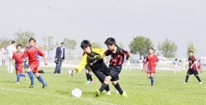 Finalin adı Es Es- Sağlık