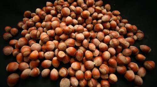 Fındık neye fayda sağlar, ne kadar tüketmek gerekir? 