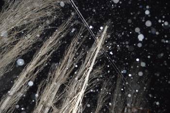 Fırtınada Kırılan Ağaç Dalı Mahalleyi 1 Saat Elektriksiz Bıraktı
