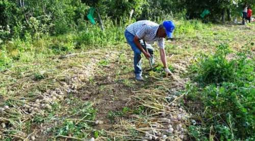 Fiyat şoku: 20 liradan 6 liraya düştü!
