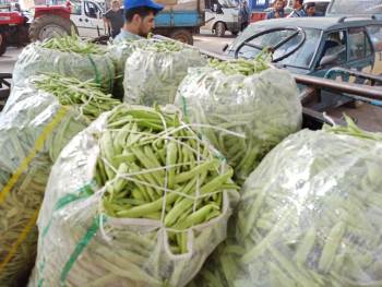 Fiyatı Düşüşe Geçen Fasulye Hem Türeticisini Hem Komisyoncusunu Üzdü
