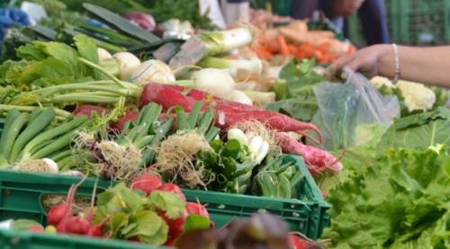 Fiyatlarda artış olmayacak!