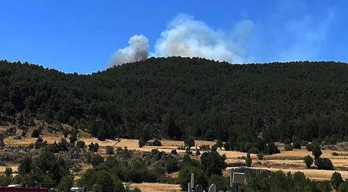 Flaş haber: Seyitgazi'de yeniden yangın paniği!