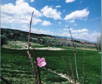 Fotoğraf Yarışması Birincisi Hisarcık’Tan
