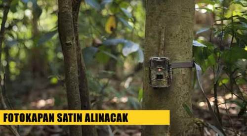Fotokapan satın alınacak