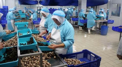 Fransa’ya 5 milyon dolarlık salyangoz satıyorlar!