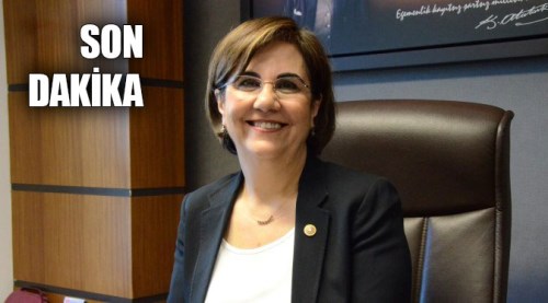 Gaye Usluer 371 oyla seçildi